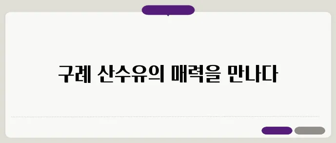 구례 산수유, 여행과 축제의 완벽한 조화가 펼쳐집니다.