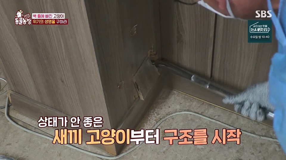 TV 동물농장.E1124.230611p.H264-F1RST.mp4_20230611_173545.987.jpg