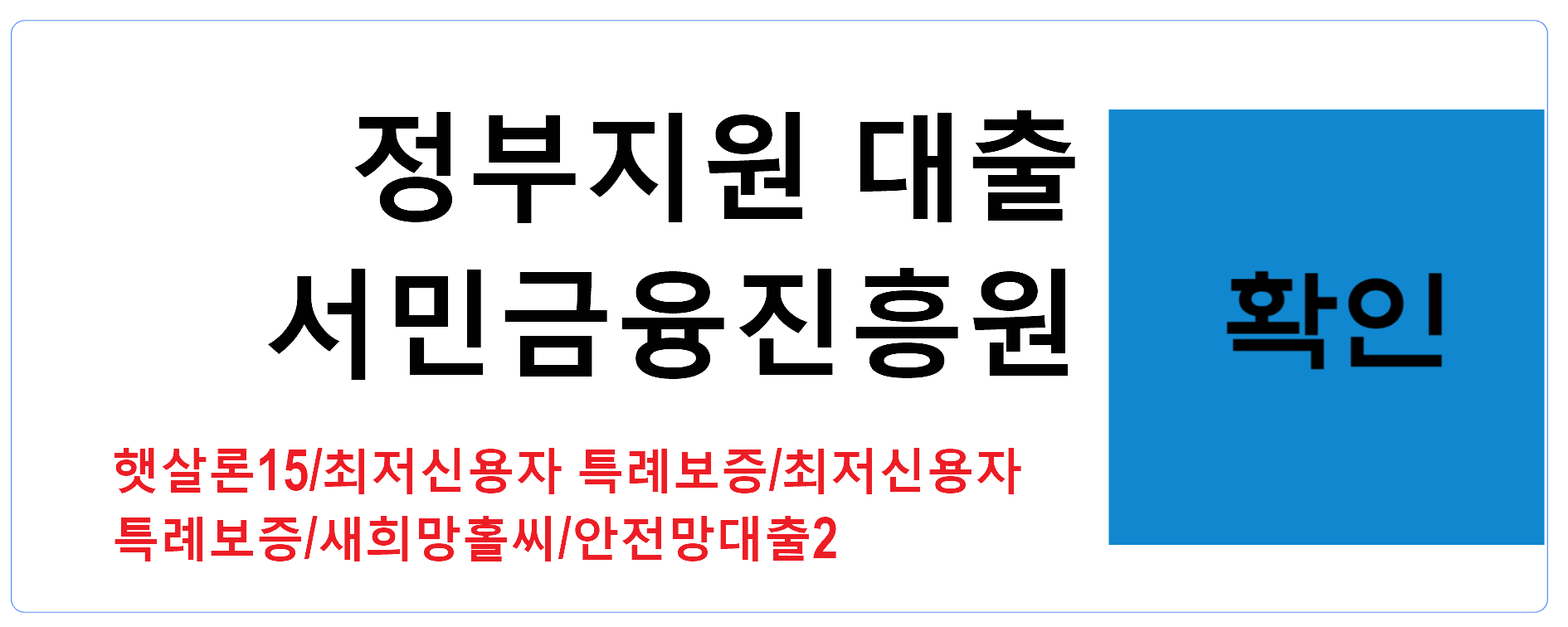 정부지원 대출