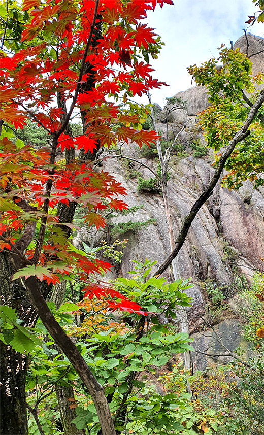 /초가을 풍경 도봉산 5