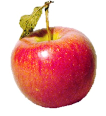 파워포인트 PPT 이미지 배경제거 투명하게 만들기