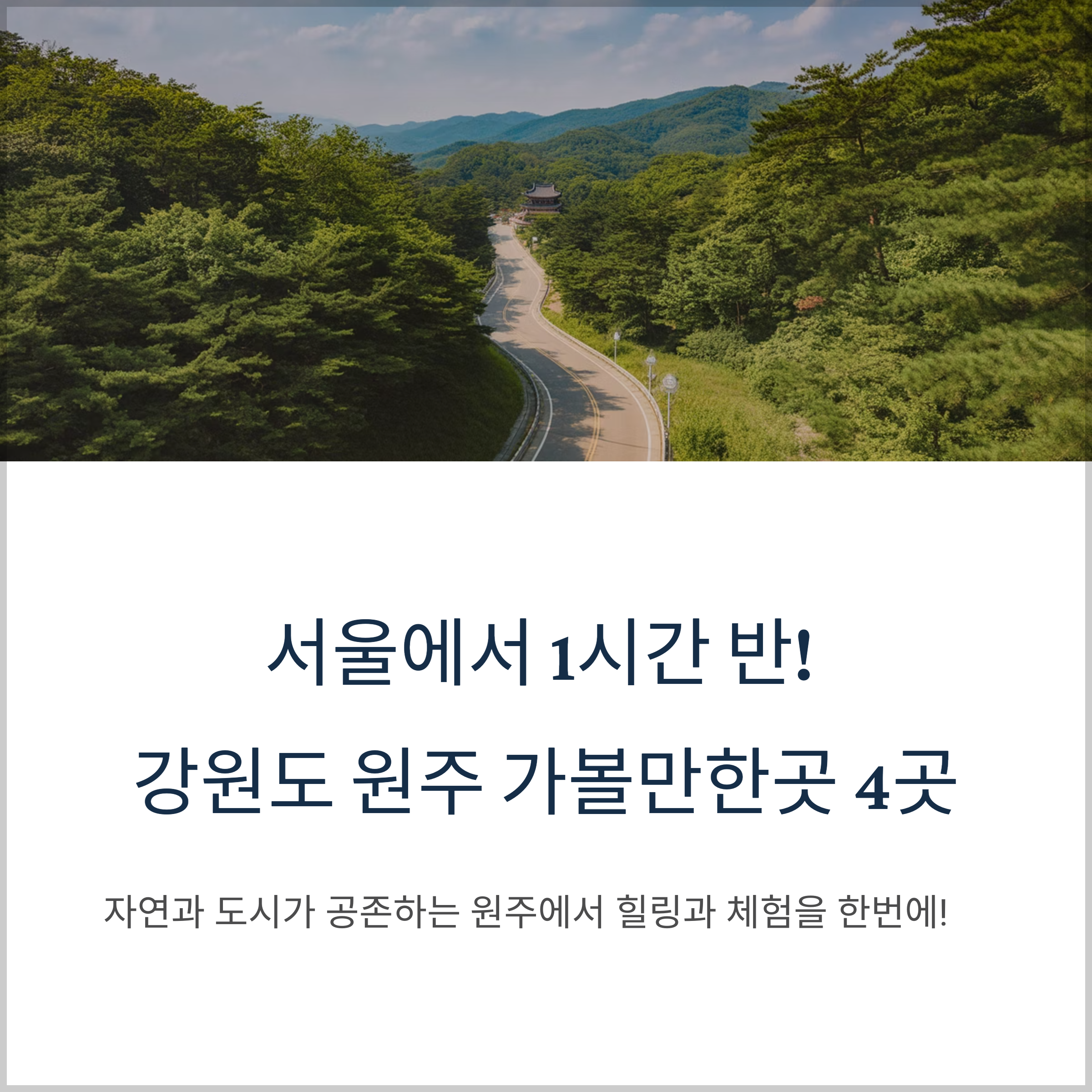 뷰 좋은 카페 추천