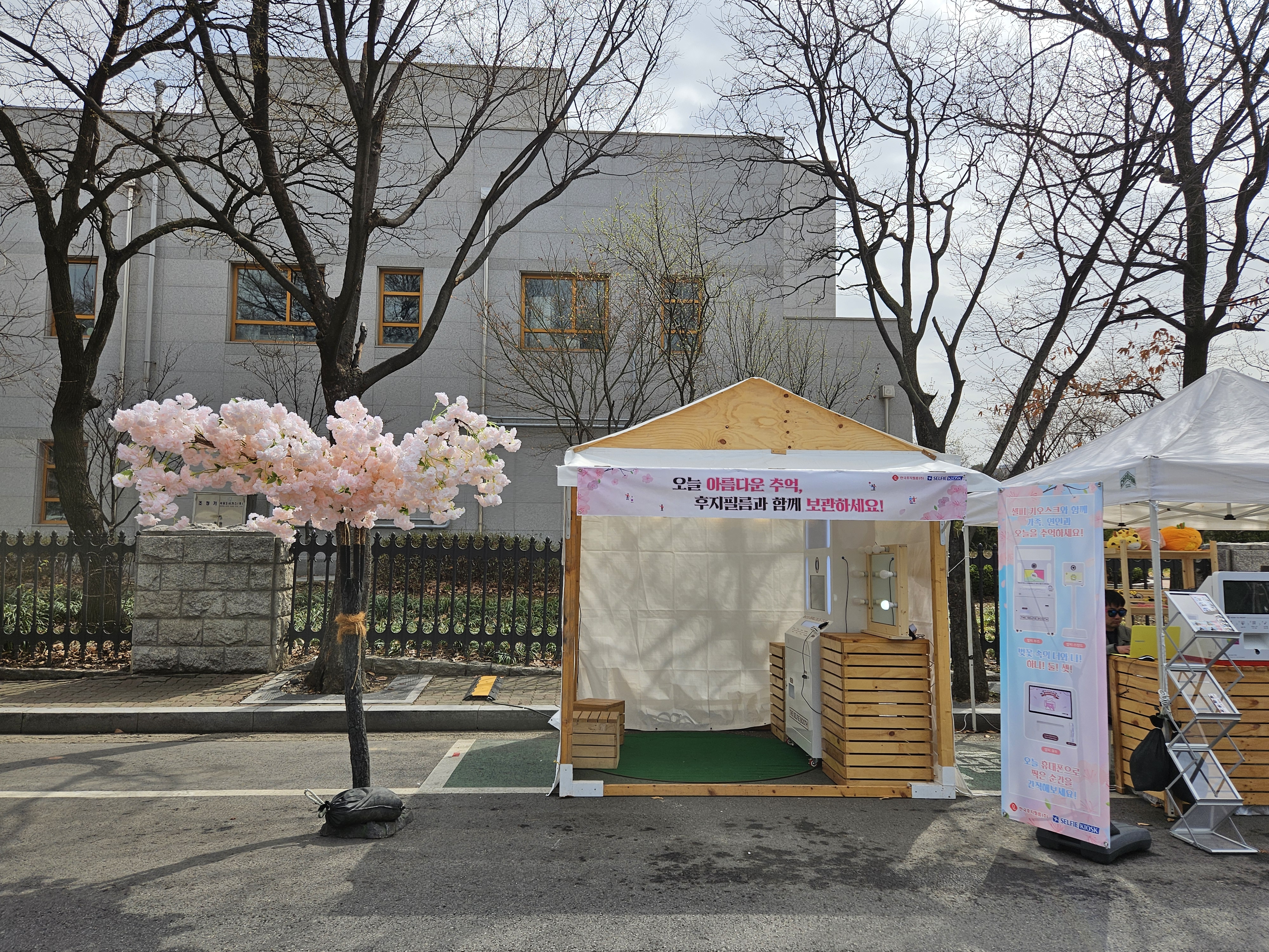 여의도 벚꽃 개화현황 및 벚꽃없는 여의도 봄꽃축제 모습 - 행복의 유효시간은 지금 이미지