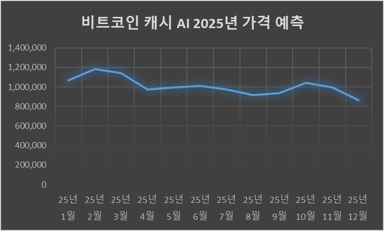 25년 비트코인캐시