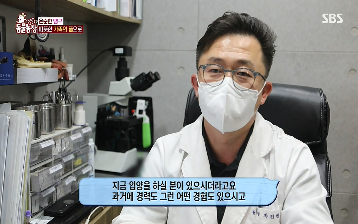 TV 동물농장.E1075.220627p-NEXT.mp4_20220626_175602.385.jpg