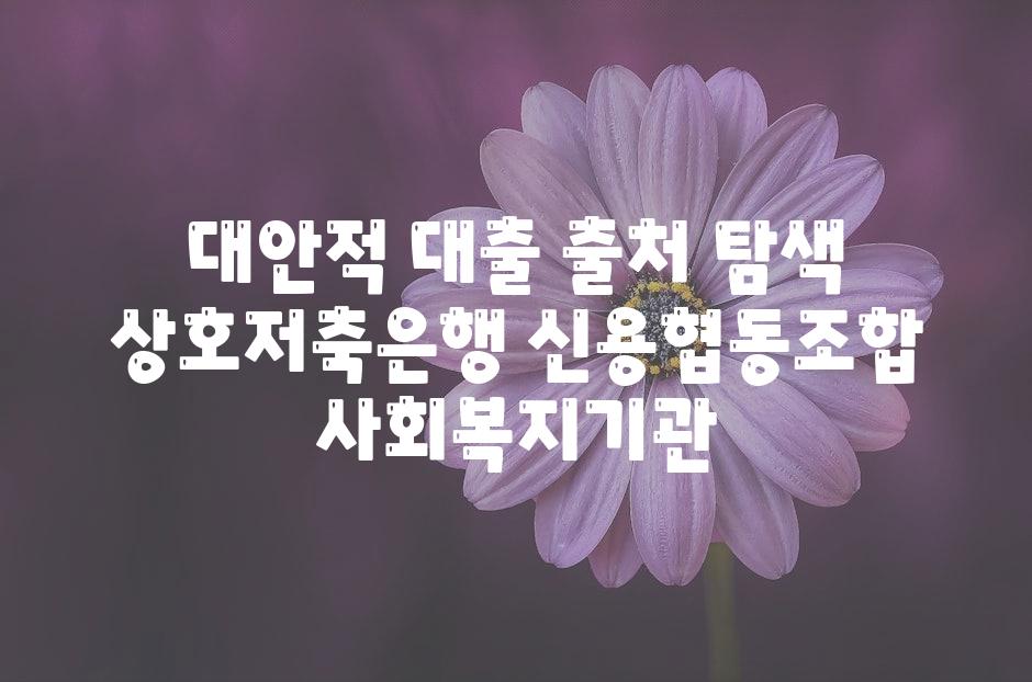 대안적 대출 출처 탐색 상호저축은행 신용협동조합 사회복지기관