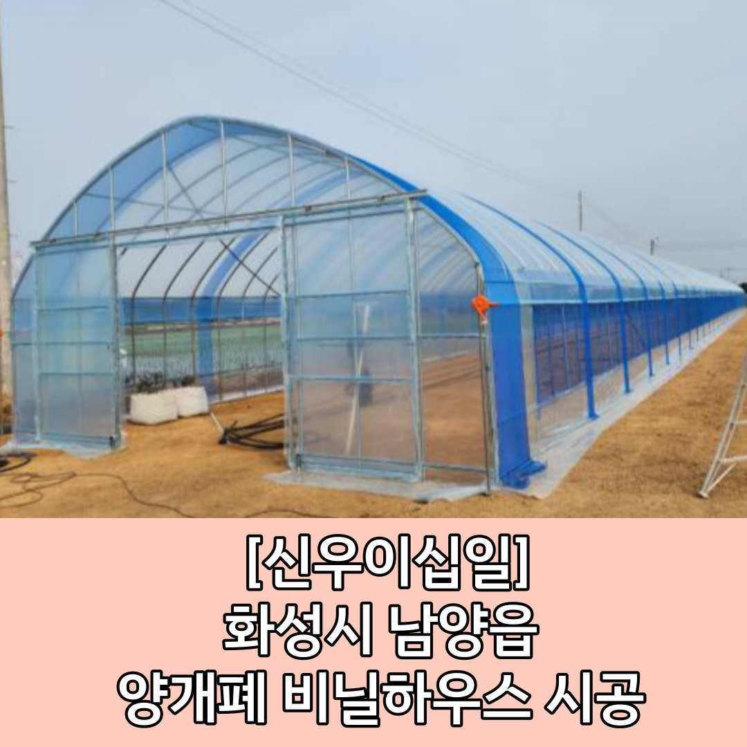  [남양 비닐하우스] 창고형 비닐하우스 시공 / 화성시 비닐하우스 시공 / 텐텐지 시공 / 보온덮개 비닐 차광망 시공 / 차광망 시공 / 관수시설 / 점적시설 시공 / 화성시 농자재 / 농자재도소매 / ..