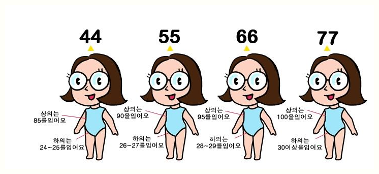 각 사이즈 재는 방법 알기 66 사이즈 신장 160cm 가슴둘레 88cm