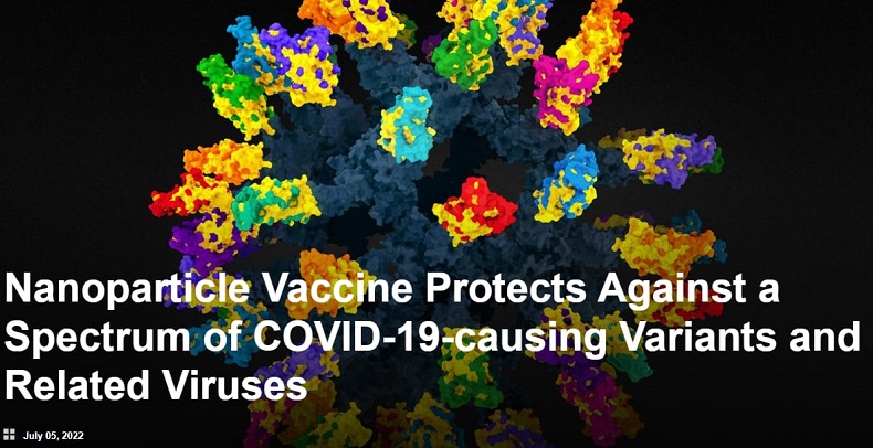 모든 코로나 막아낼 범용 백신 개발 시험 성공 Nanoparticle Vaccine Protects Against a Spectrum of COVID-19-causing Variants and Related Viruses