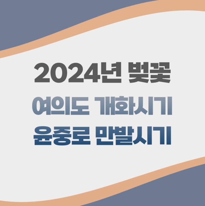 2024년 벚꽃 개화시기 여의도 벚꽃 축제 일정 벚꽃 개화 벚꽃 만개시기 총정리