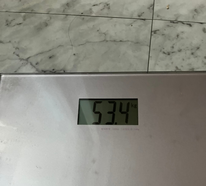 영화 무료다운 [11월 일상] :: 다이어트 식단 | 톤다운 염색 | 필기합격 후 면접준비 | 최종면접 | 45
