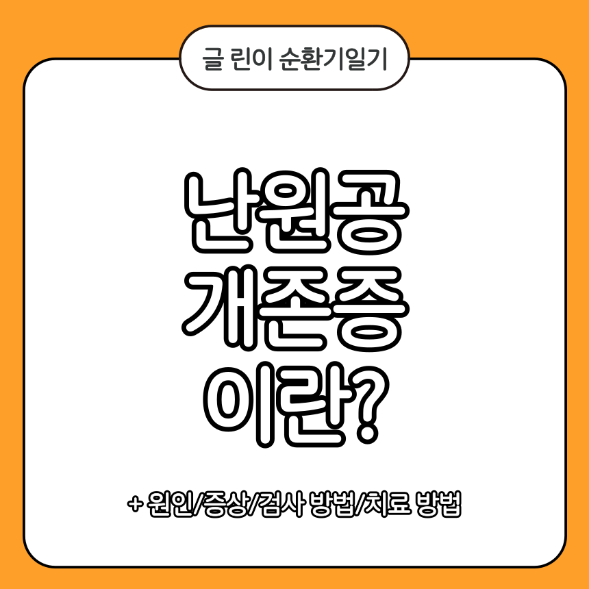 난원공 개존증