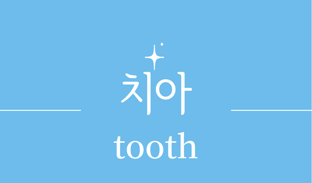 &#39;치아 이빨(tooth)&#39;