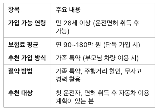 만26세자동차보험 요약정리