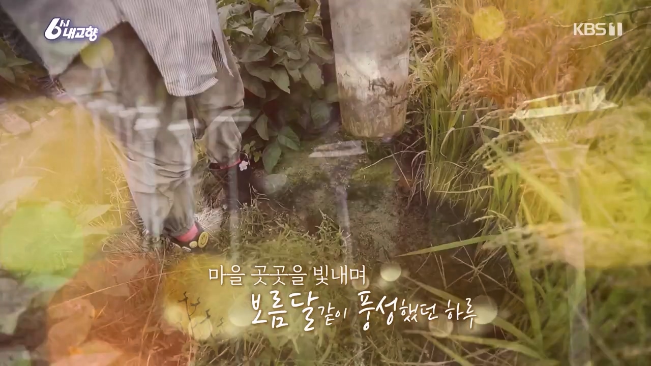 6시 내고향.E7888.230926p-NEXT.mp4_20230926_214720.302.jpg