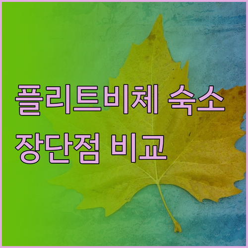 플리트비체 숙박 후기 비교분석 3곳의