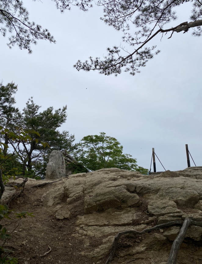 여름산으로 추천하는 괴산 칠보산(778m) 숲속을 거니는 듯 시원해 32