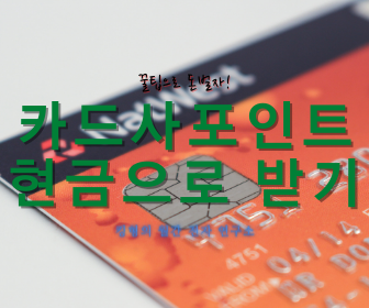  [적립포인트 통합조회!] 카드사포인트 현금으로 돌려받기!!