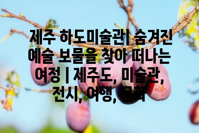 랜덤186