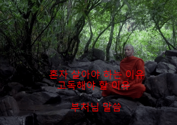  [부처님] 노후 인간관계에 대한 가르침