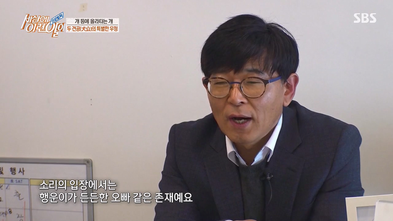 순간포착 세상에 이런일이.E1228p-NEXT.mp4_20230503_200107.191.jpg