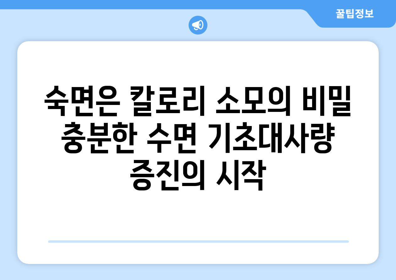 숙면은 칼로리 소모의 비밀 충분한 수면 기초대사량 증진의 시작