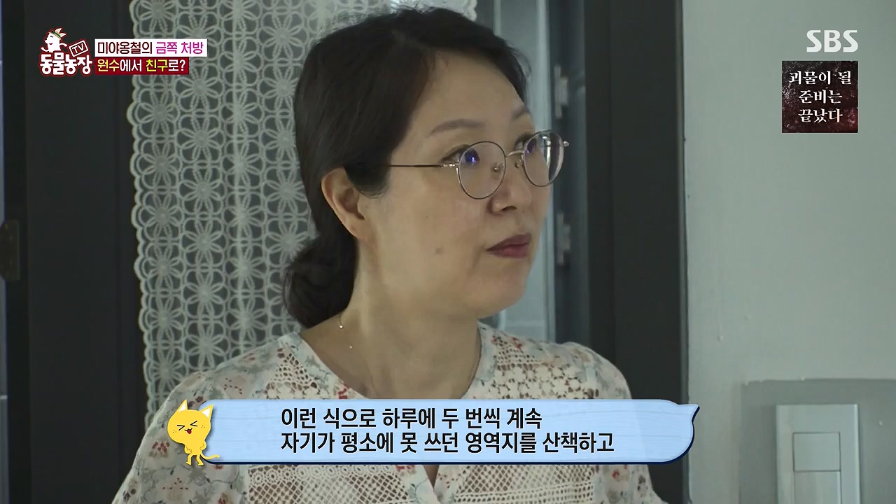 TV 동물농장.E1137.230911p-NEXT.mp4_20230910_183220.425.jpg