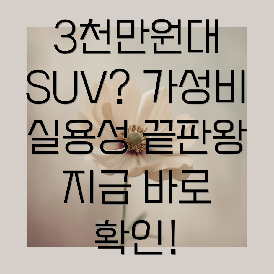 3천만원대 국산 중형 SUV