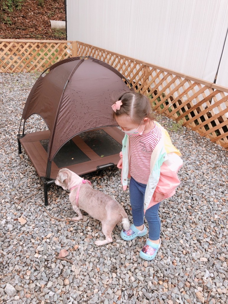 글램핑장 용인 양지리조트 보고 [아이와 갈만한 곳] 반려동물 동반 43