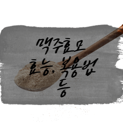  맥주효모 효능 복용법 부작용 후기