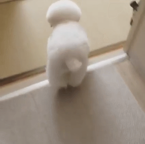  [웃는하루]인형으로 변신!!!