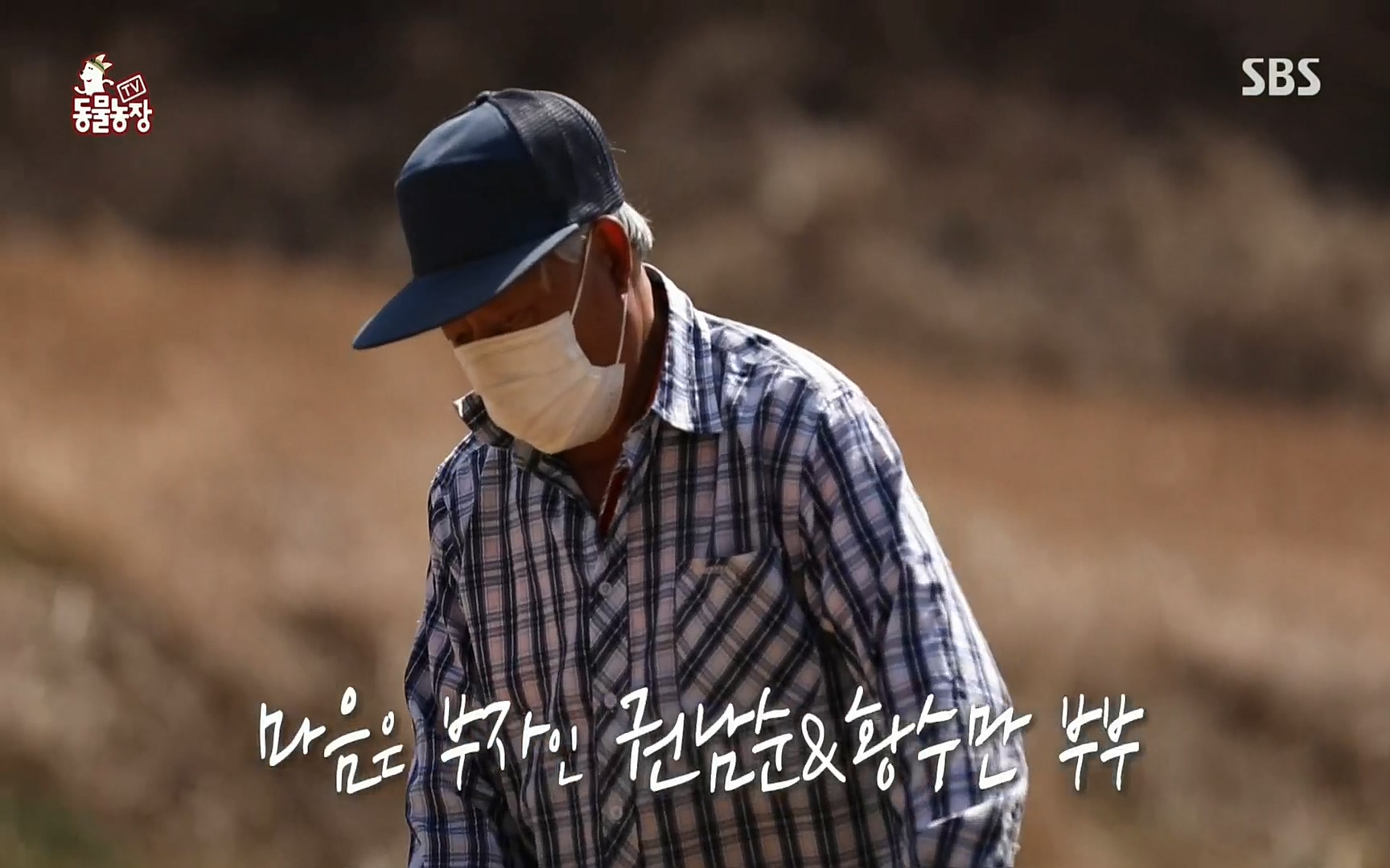 TV 동물농장.E1067.220501p.H264-F1RST.mp4_20220501_183340.230.jpg