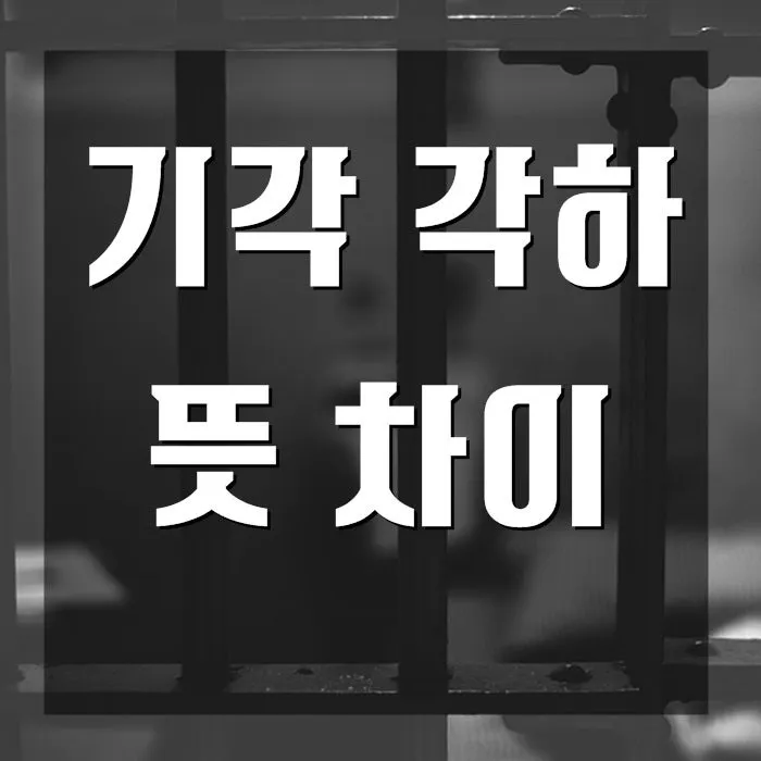 기각 각하 차이 인용 기각 각하 정확한 사용법_9