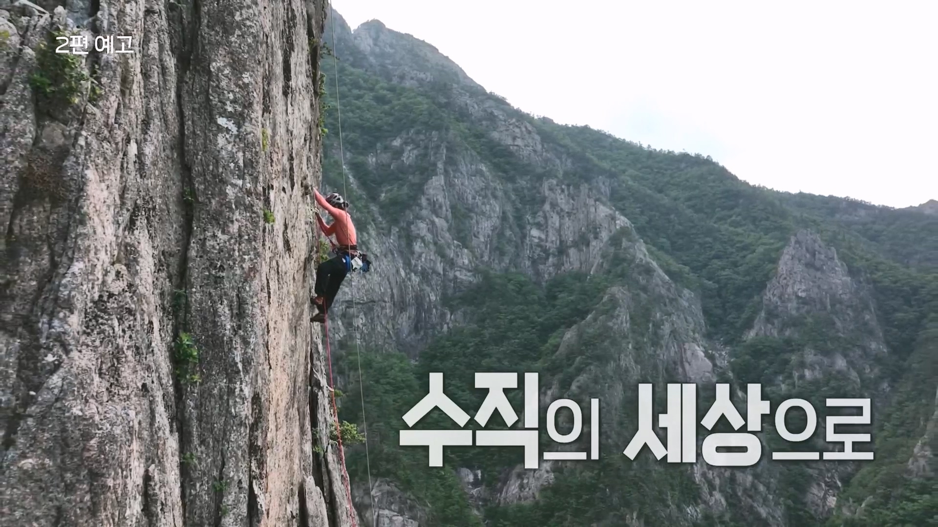 다큐 인사이트.E176.231214p.H264-F1RST.mp4_20231215_205354.659.jpg