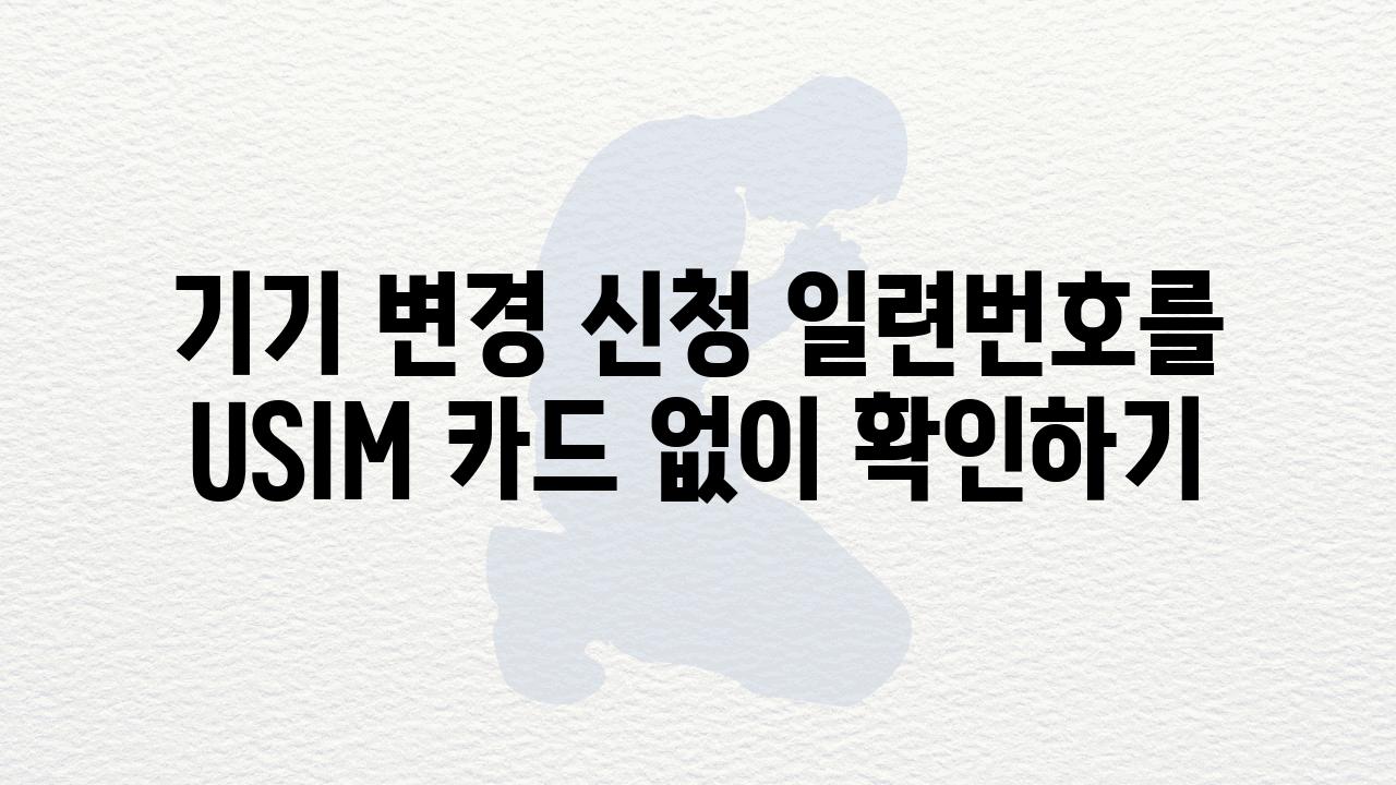 기기 변경 신청 일련번호를 USIM 카드 없이 확인하기