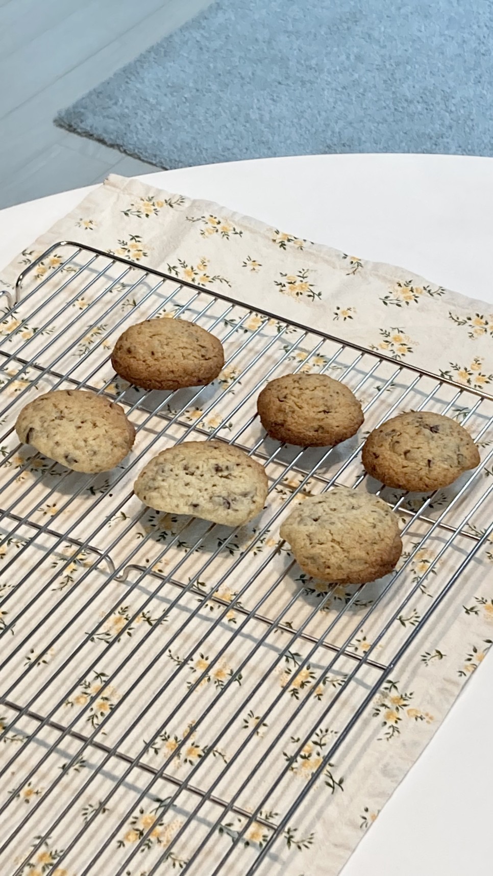 초코칩쿠키 크리스마스 쿠키만들기 :: 26