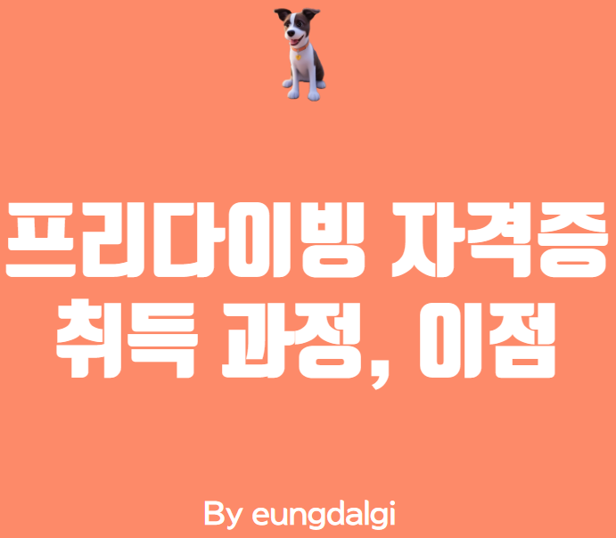  프리다이빙 자격증 - 숨막히는 수중 세계를 탐험해보세요!