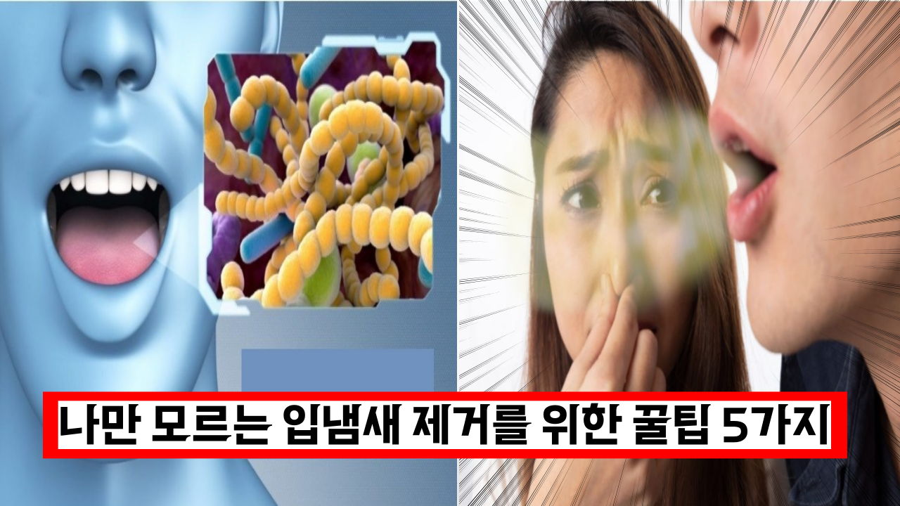  전문가에 듣는 나만 모르는 입냄새 제거를 위한 꿀팁 5가지