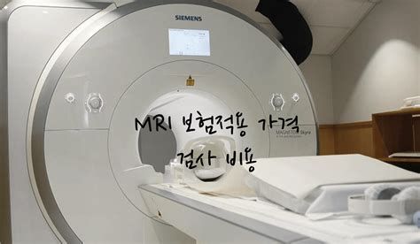 뇌검사비용