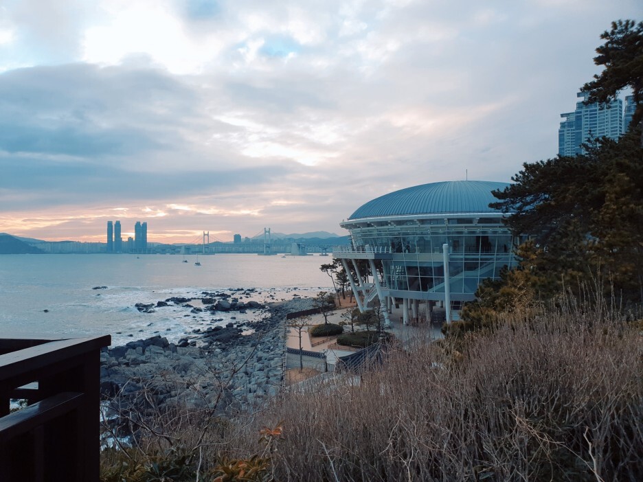 동백섬