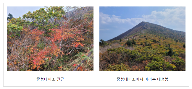  오늘(30일) 설악산 단풍 시작