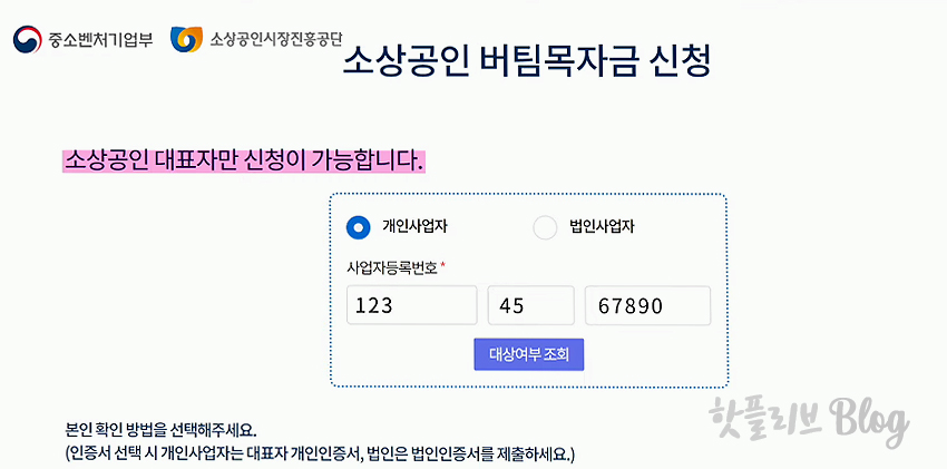 소상공인 새희망자금 문자내용 소상공인 버팀목자금 신청방법 홀수/짝수_3차 코로나 재난지원금 14