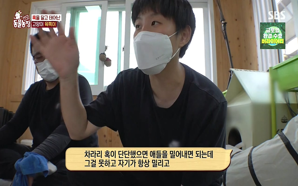 TV 동물농장.E1087.220919p-NEXT.mp4_20220918_180232.586.jpg