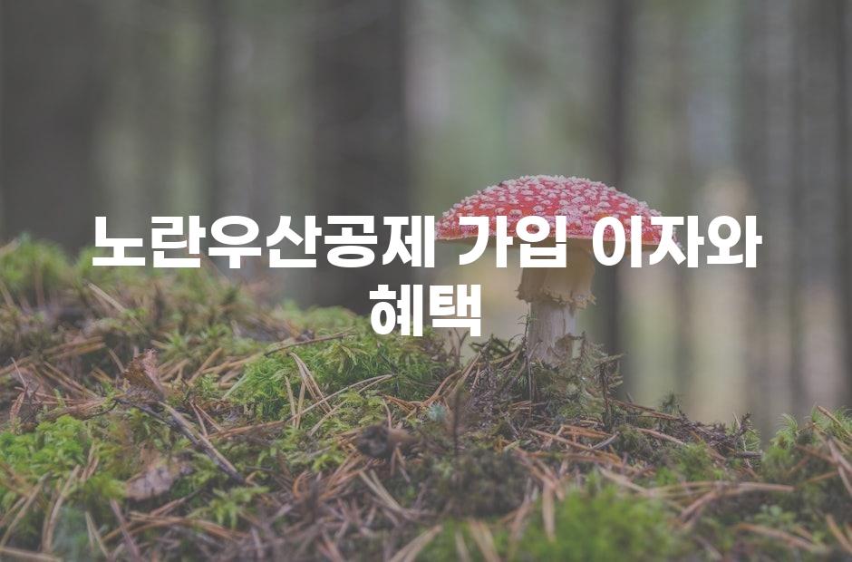 노란우산공제 가입 가이드| 이자 혜택 및 실속 있는 풀