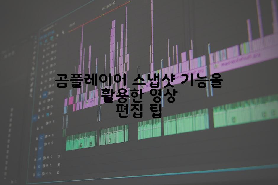 곰플레이어 스냅샷 기능을 활용한 영상 편집 팁