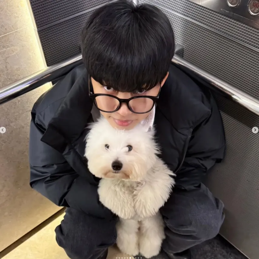 임영웅 노래모음듣기 콘서트는 언제?