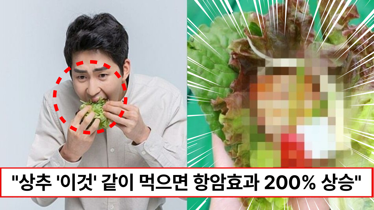 “그냥 먹지 말고 꼭 같이 드세요” 상추와 같이 먹으면 항암효과 200% 증가하는 마법의 음식 1가지