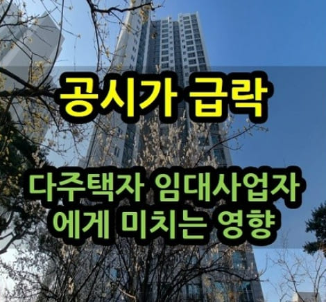  "임대사업자 등록한 것 때문에 피눈물 납니다"...왜