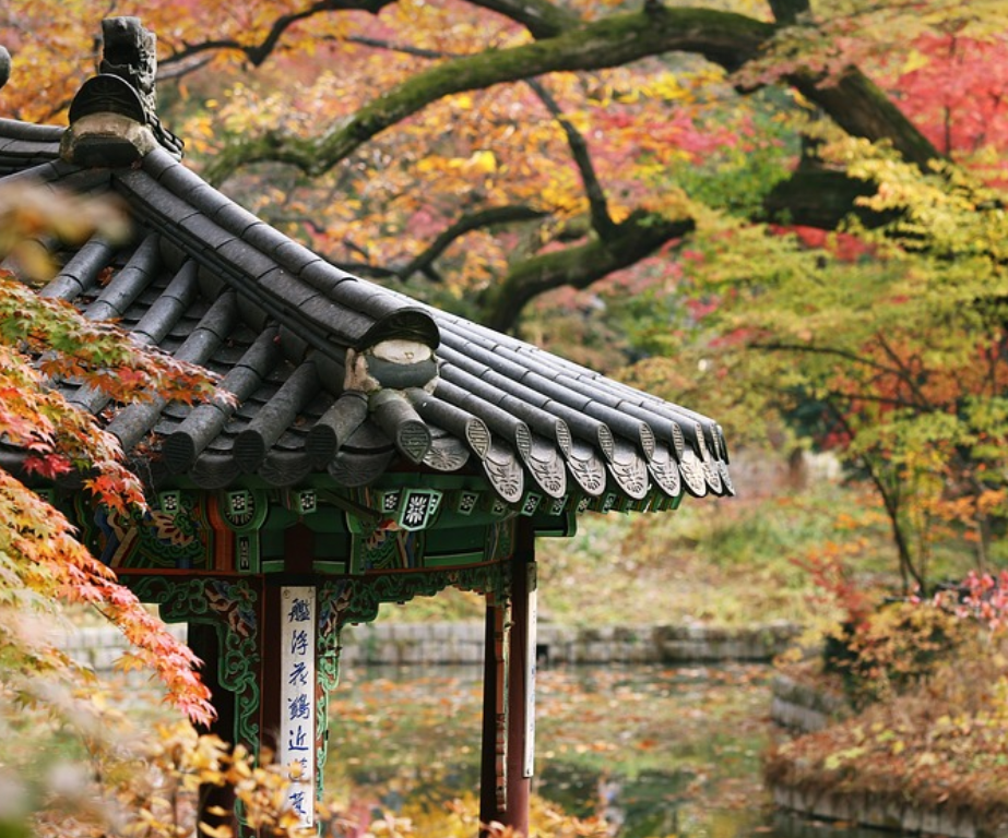 창덕궁 야간개장