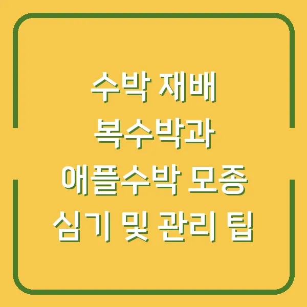 수박 재배 복수박과 애플수박 모종 심기 및 관리 팁